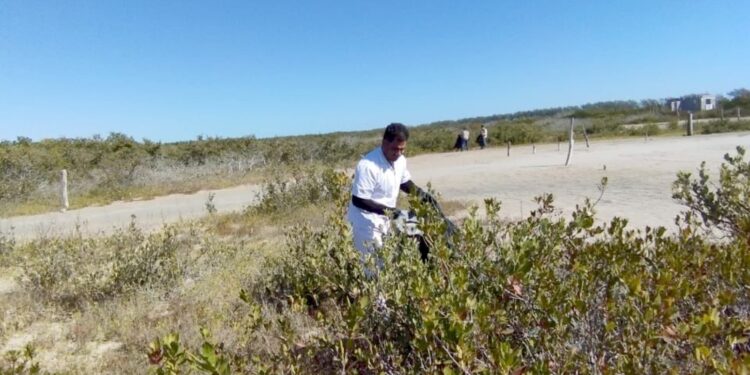 Refuerzan conciencia ambiental con limpieza de playas y humedales de Tamaulipas