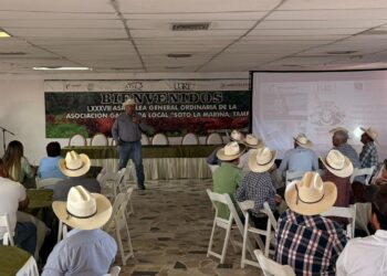 Presentan convocatoria para el “Novillo Gordo 2026”