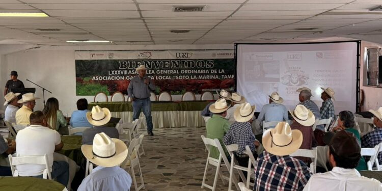 Presentan convocatoria para el “Novillo Gordo 2026”