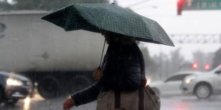 Frente Frío 33 en Tamaulipas: ¿A qué hora llega y qué zonas afectará más?