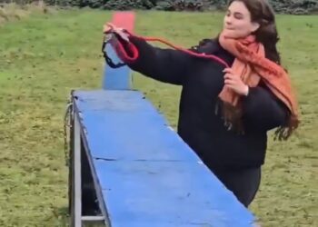 Hobby Dogging: La nueva tendencia europea de pasear «perros invisibles»