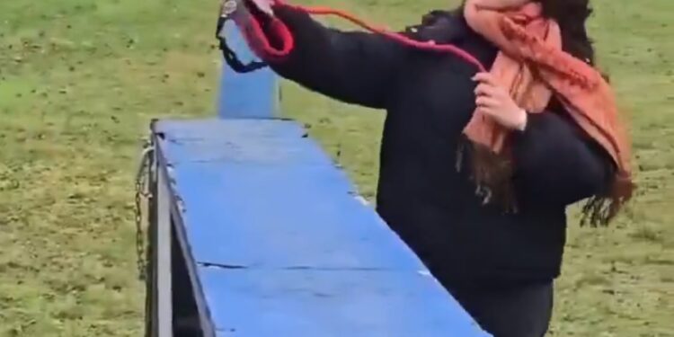 Hobby Dogging: La nueva tendencia europea de pasear «perros invisibles»