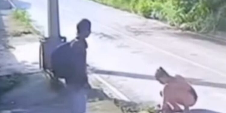 Cámaras captan el momento en que una recién nacida es abandonada en una alcantarilla