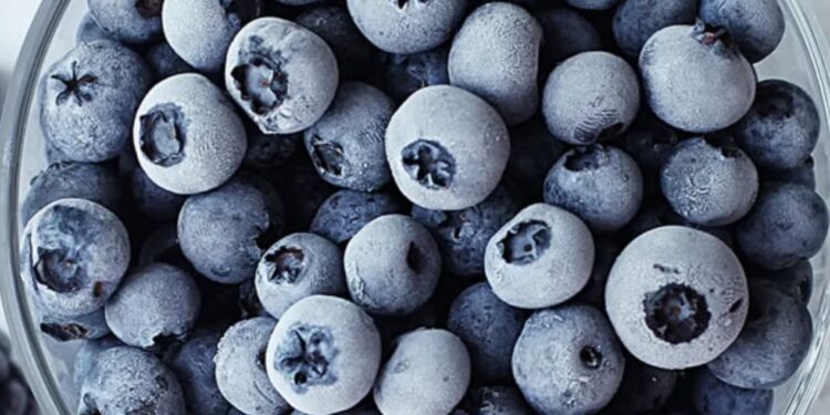 Alerta de la FDA: Retiran más de 25,000 kilos de arándanos por posible brote de Listeria