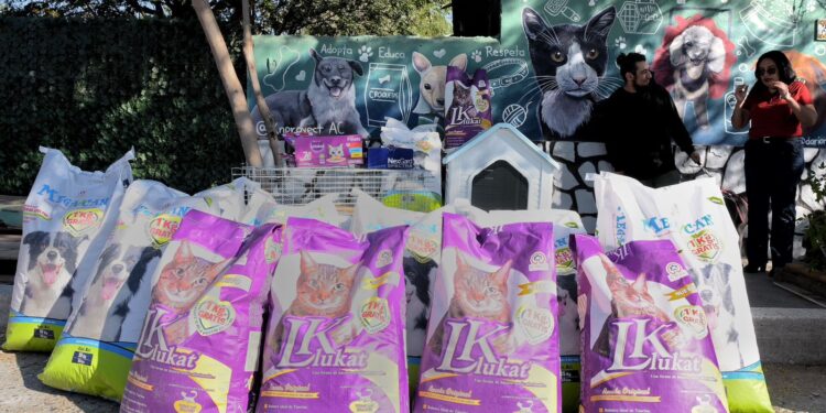 Transforman participación ciudadana en apoyo social a través del Reciclatón 2025