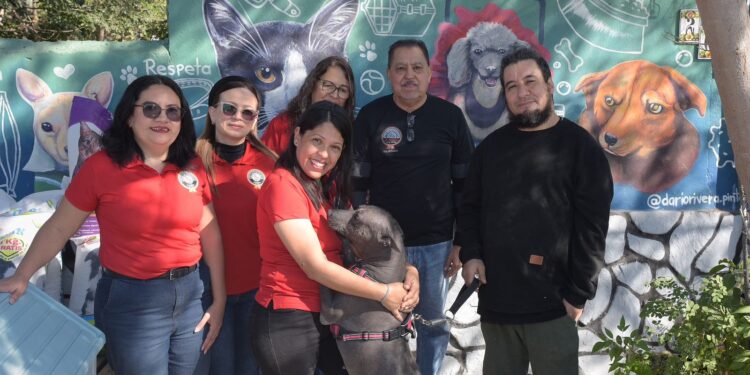 Transforman participación ciudadana en apoyo social a través del Reciclatón 2025