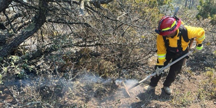Refuerza Gobierno de Tamaulipas acciones coordinadas para el control de incendio forestal en Miquihuana