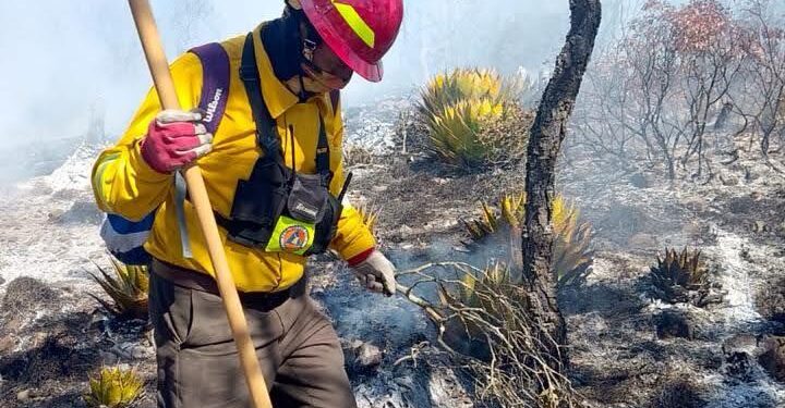 Refuerza Gobierno de Tamaulipas acciones coordinadas para el control de incendio forestal en Miquihuana