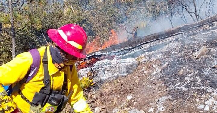 Refuerza Gobierno de Tamaulipas acciones coordinadas para el control de incendio forestal en Miquihuana