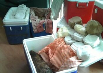 Adiós a las «tortillas de hielera»: Profeco va contra la venta irregular en Tamaulipas