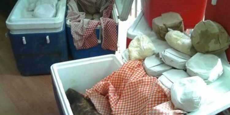 Adiós a las «tortillas de hielera»: Profeco va contra la venta irregular en Tamaulipas