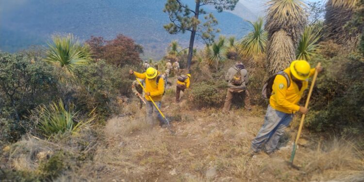Refuerzan operativo interinstitucional para combatir incendio forestal en Miquihuana