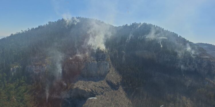 Refuerzan operativo interinstitucional para combatir incendio forestal en Miquihuana