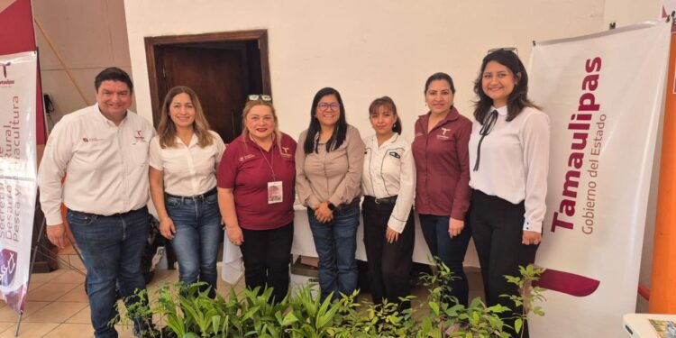 Acercan educación forestal a estudiantes de Padilla con taller interactivo
