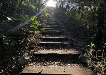 Anuncia Sectur agencias participantes en las Rutas del Fútbol en Tamaulipas