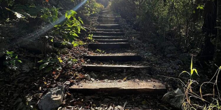 Anuncia Sectur agencias participantes en las Rutas del Fútbol en Tamaulipas