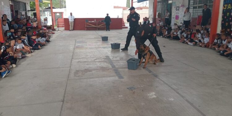 Acerca Guardia Estatal a “Max”, perro especializado, a comunidad escolar