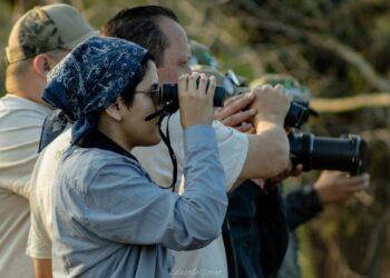 Invitan a jornada de pajareada y exposición fotográfica en el Museo TAMUX
