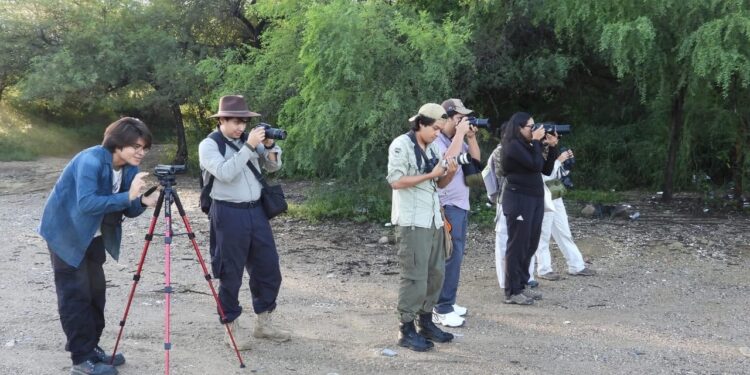 Invitan a jornada de pajareada y exposición fotográfica en el Museo TAMUX
