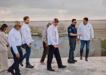 Arranca temporada de la tortuga lora en playa Tepehuajes