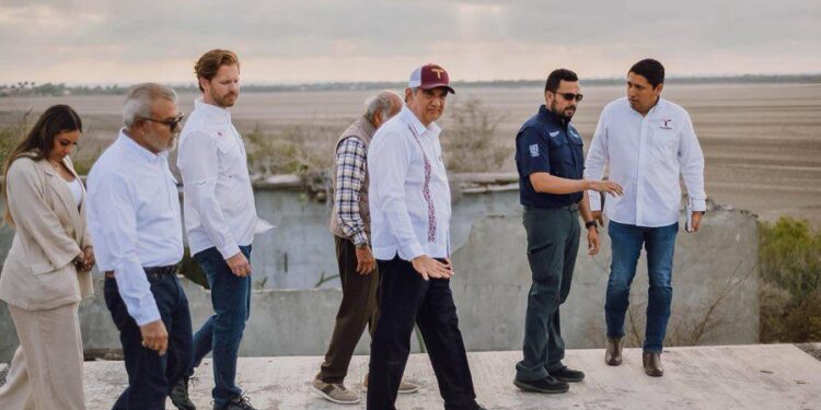 Arranca temporada de la tortuga lora en playa Tepehuajes