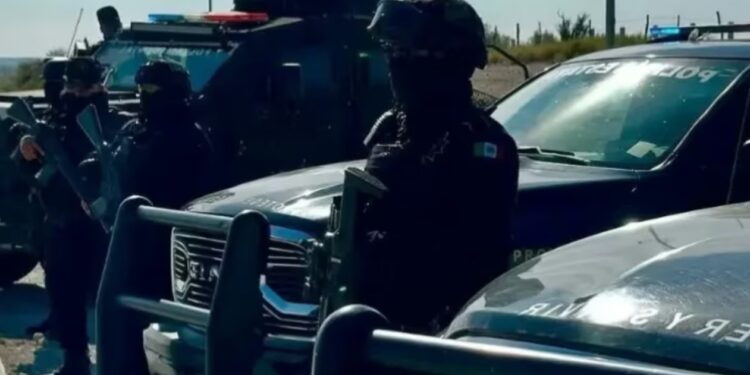 Operativo Muralla: Fuerza Civil abate a civil armado en la autopista a Reynosa