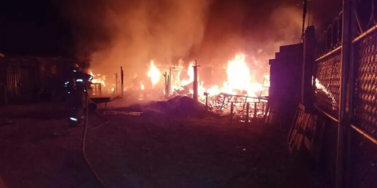 El fuego lo consumió todo en Tierra Nueva, excepto la fe: Una Biblia resulta intacta tras devastador incendio