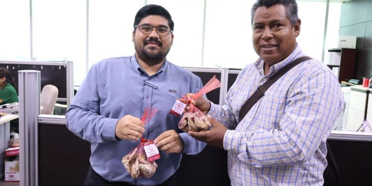 Productores tamaulipecos logran vender al 100% primera cosecha de ostión