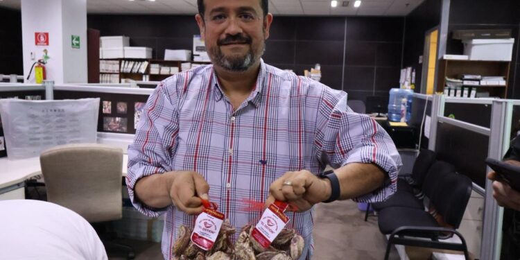 Productores tamaulipecos logran vender al 100% primera cosecha de ostión