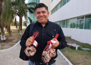 Productores tamaulipecos logran vender al 100% primera cosecha de ostión