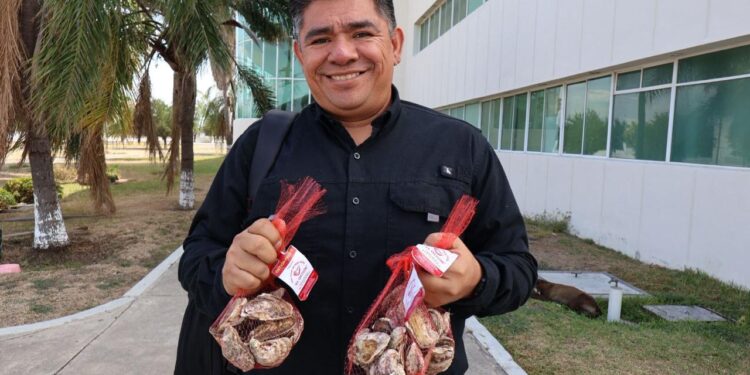 Productores tamaulipecos logran vender al 100% primera cosecha de ostión