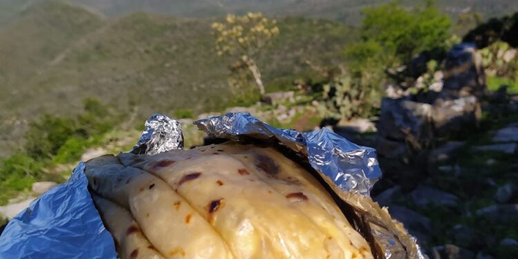 Conoce el Top 10 de los sabores que enamoran de Tamaulipas: Secretaria de Turismo