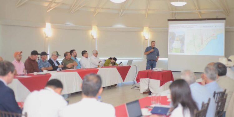 Refuerzan acciones fitosanitarias en beneficio de productores de algodón en Tamaulipas