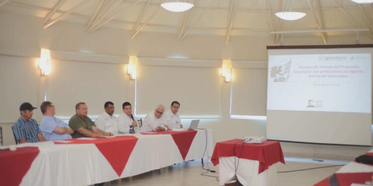 Refuerzan acciones fitosanitarias en beneficio de productores de algodón en Tamaulipas