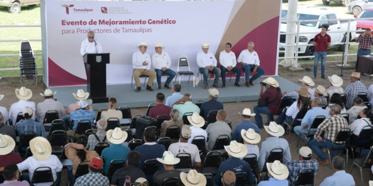 Dan impulso a la ganadería con sementales de alto valor genético