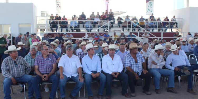 Dan impulso a la ganadería con sementales de alto valor genético