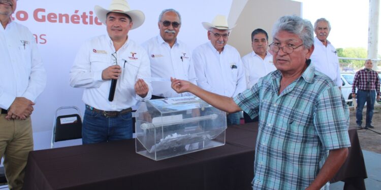 Dan impulso a la ganadería con sementales de alto valor genético