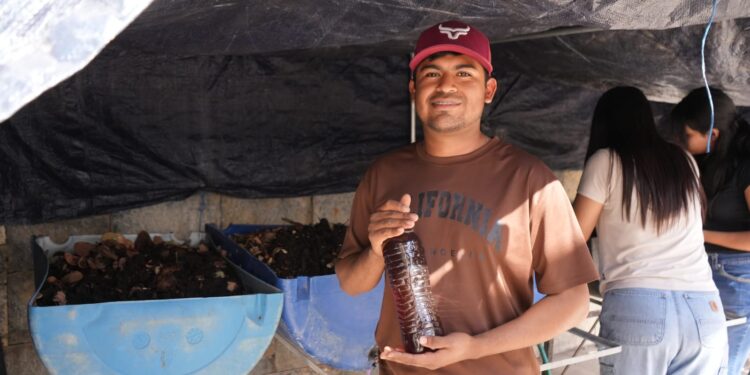 Desarrolla la UAT biofertilizantes líquidos a partir de lombricomposta
