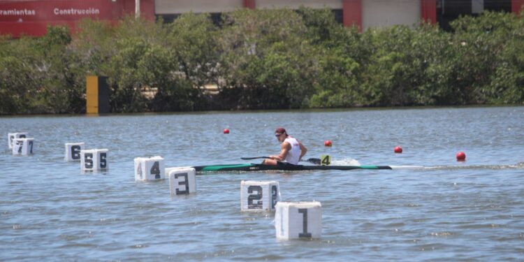 Siguen sumando medallas atletas tamaulipecos en la Olimpiada Nacional