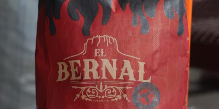 Invertirá Oxxo 300 millones de pesos y venderá carbón vegetal tamaulipeco en sus tiendas