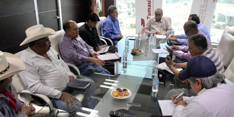 Analizan estrategias para diversificar la producción agrícola en Tamaulipas