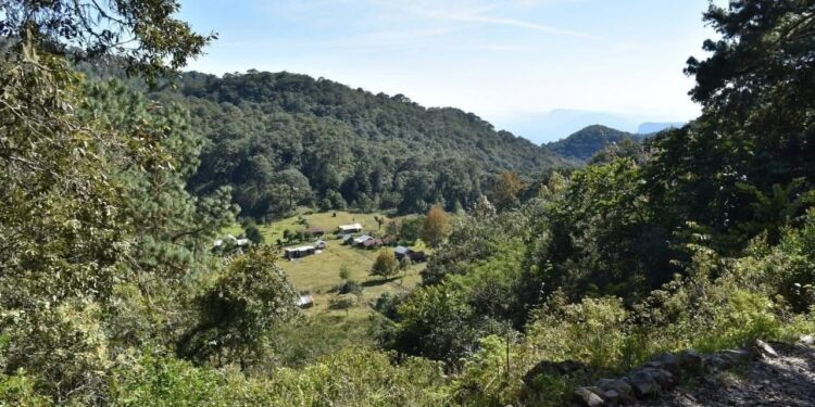 Sectur y UAT unen fuerzas para transformar turismo tamaulipeco