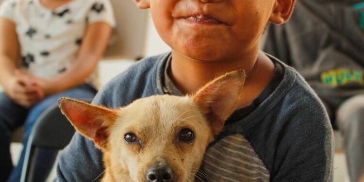 Promueve DIF Tamaulipas el cuidado responsable de las mascotas