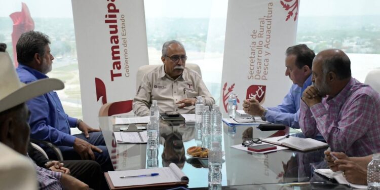 Analizan estrategias para diversificar la producción agrícola en Tamaulipas