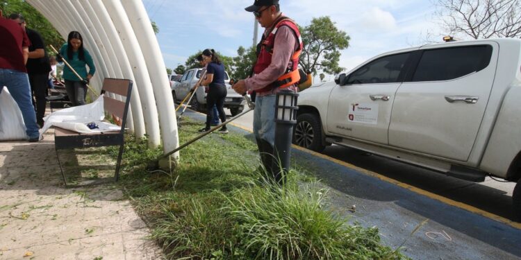 Activa SEDUMA brigadas ciudadanas de limpieza durante Semana Ambiental