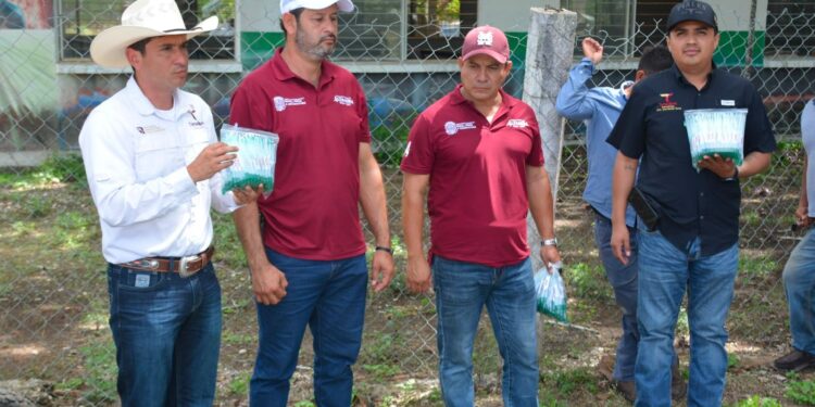Trabajo coordinado protege a becerros recién nacidos del gusano barrenador
