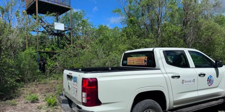 Refuerza Tamaulipas la vigilancia para proteger a la paloma ala blanca