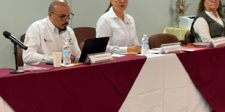 Realizan sesión de la Comisión Intersecretarial para fortalecer acciones contra el trabajo infantil en Tamaulipas