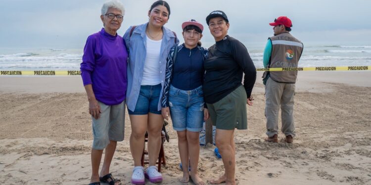 Disfrutan liberación de crías de tortuga lora en Playa Miramar