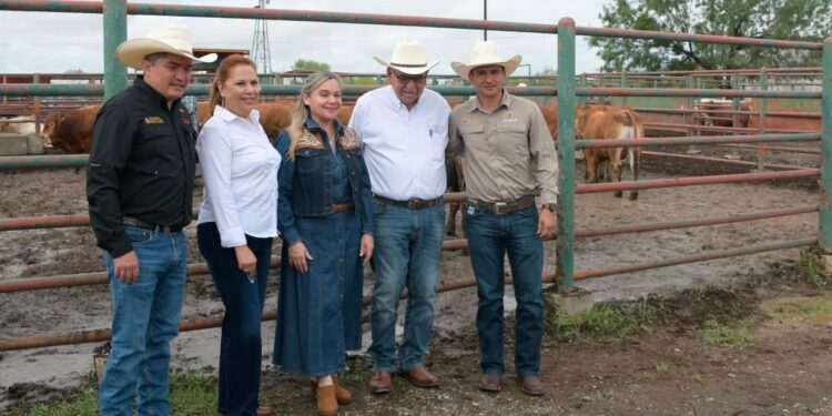 Vuelve el Programa de Mejoramiento Genético a Guerrero para incrementar la producción local